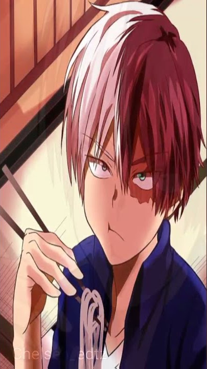 Story wa || Shoto Todoroki (My Hero Academia)