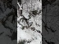 Kaskade paleovulkanske kupe Tilva Njagra 🪄