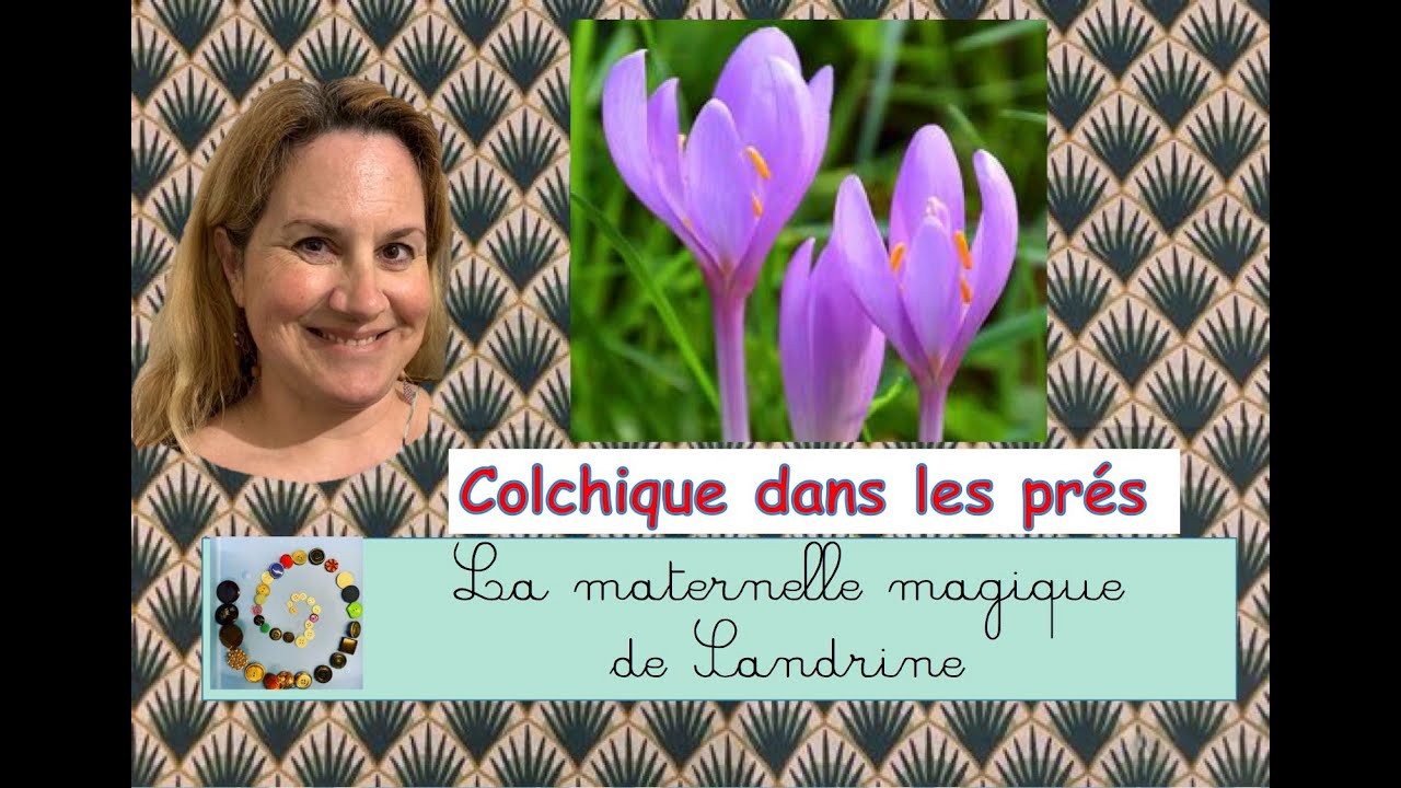 ⭐Colchiques dans les prés chanson d'automne avec gestes pour la maternelle YouTube ⭐Colchiques dans les prés chanson d'automne avec gestes pour la maternelle YouTube