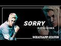 Justin Bieber....Sorry ...... Whatsapp Status