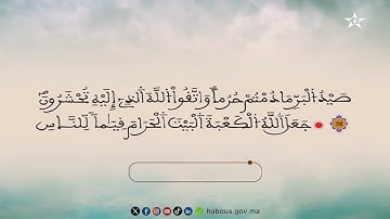13 الحزب الثالث عشر من المصحف المحمدي المرتل بصوت القارئ محمد الأطرش