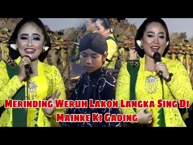 Merinding Weroh Lakon Langka Sing Di Mainke Mas Gading Pawukir class=