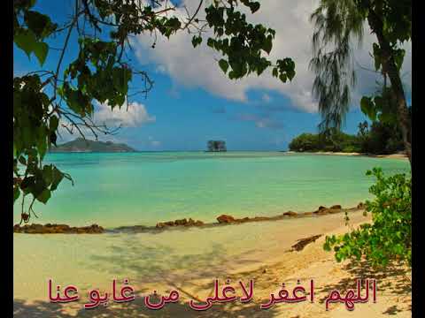 رحم الله ارواحا لا تعوض