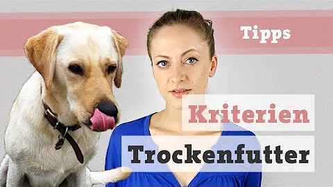 Welches ist das beste Trockenfutter für Hunde?