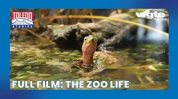 Learn About the Initiatives and Animals of The Toledo Zoo & Aquarium | Toledo Stories | Full Film