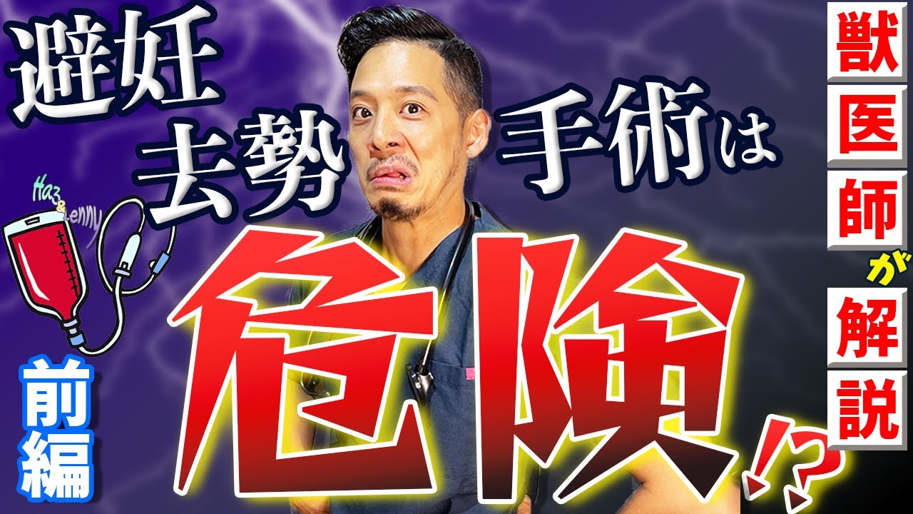 【驚愕】犬猫の避妊去勢手術は獣医師のエゴです_前編【保護犬、保護ねこ】