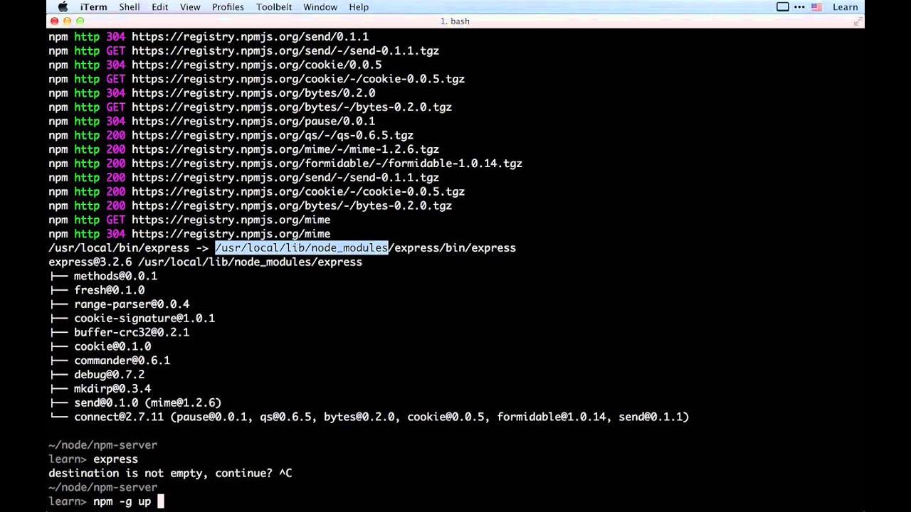 Npm глобально. Модуль в js. npm. npm -i local node modules. joostmod.