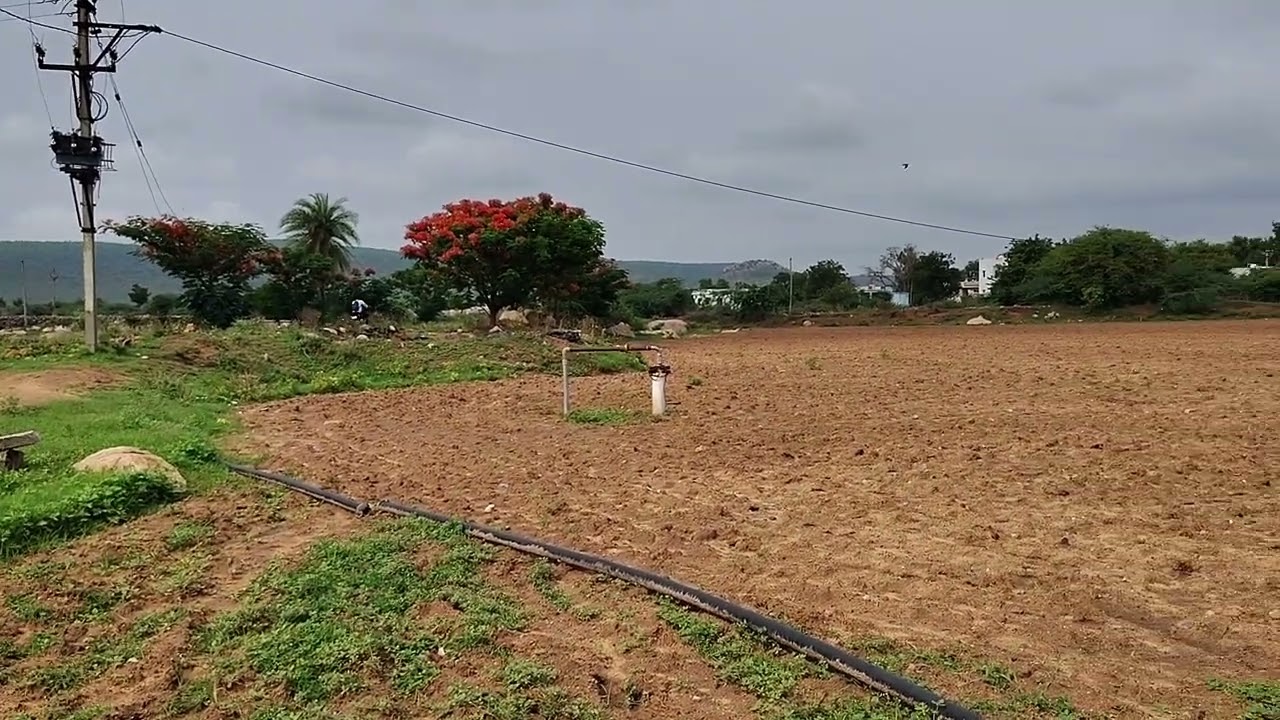 Town and Village attached Agriculture Land for Sale in Dhone, kurnool.