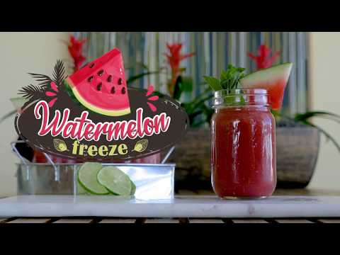 watermelon-freeze---best-bcaa-recipes---bpi-sports