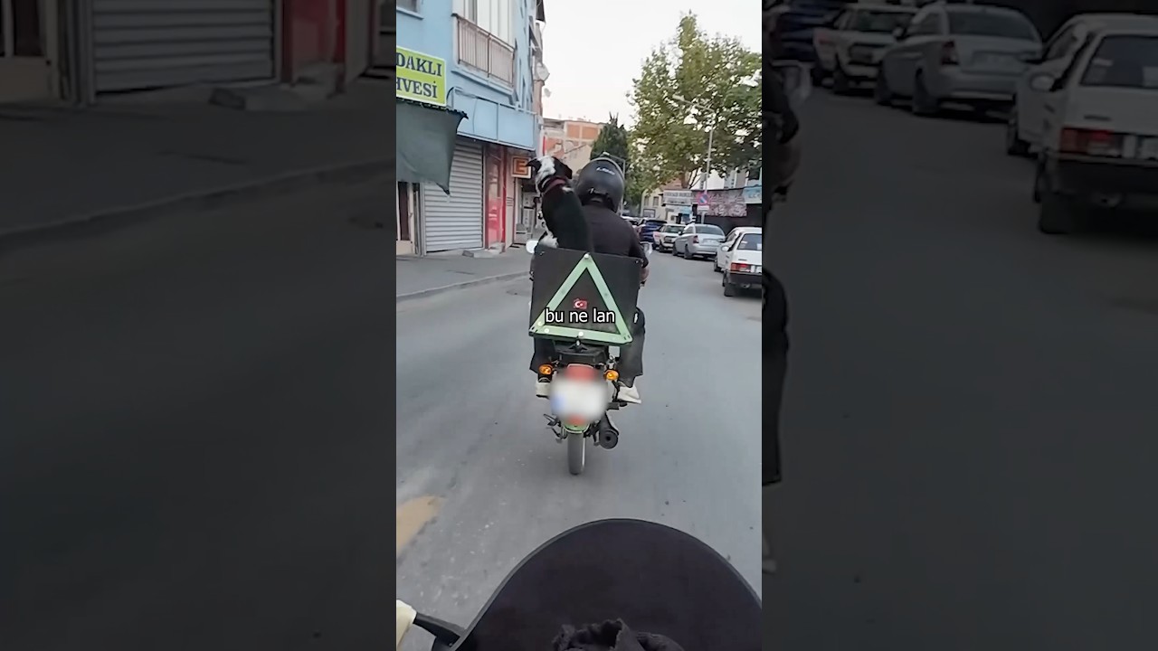 Ahh yanıyorumm #shorts #shortvideo #motovlog #motorcycle