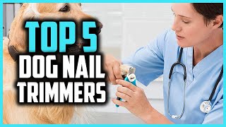 ✅Best dog nail trimmers in 2024