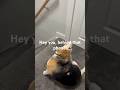Bagel playing  for more subscribers!￼￼