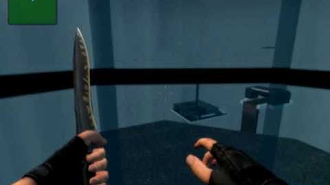 Css:Panda at Surf_greatriver