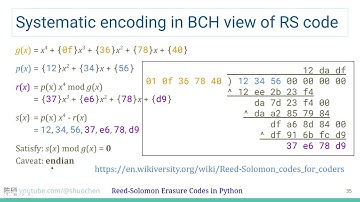 Reed-Solomon 擦除码 Python 实现 三(甲)：BCH 观点系统码