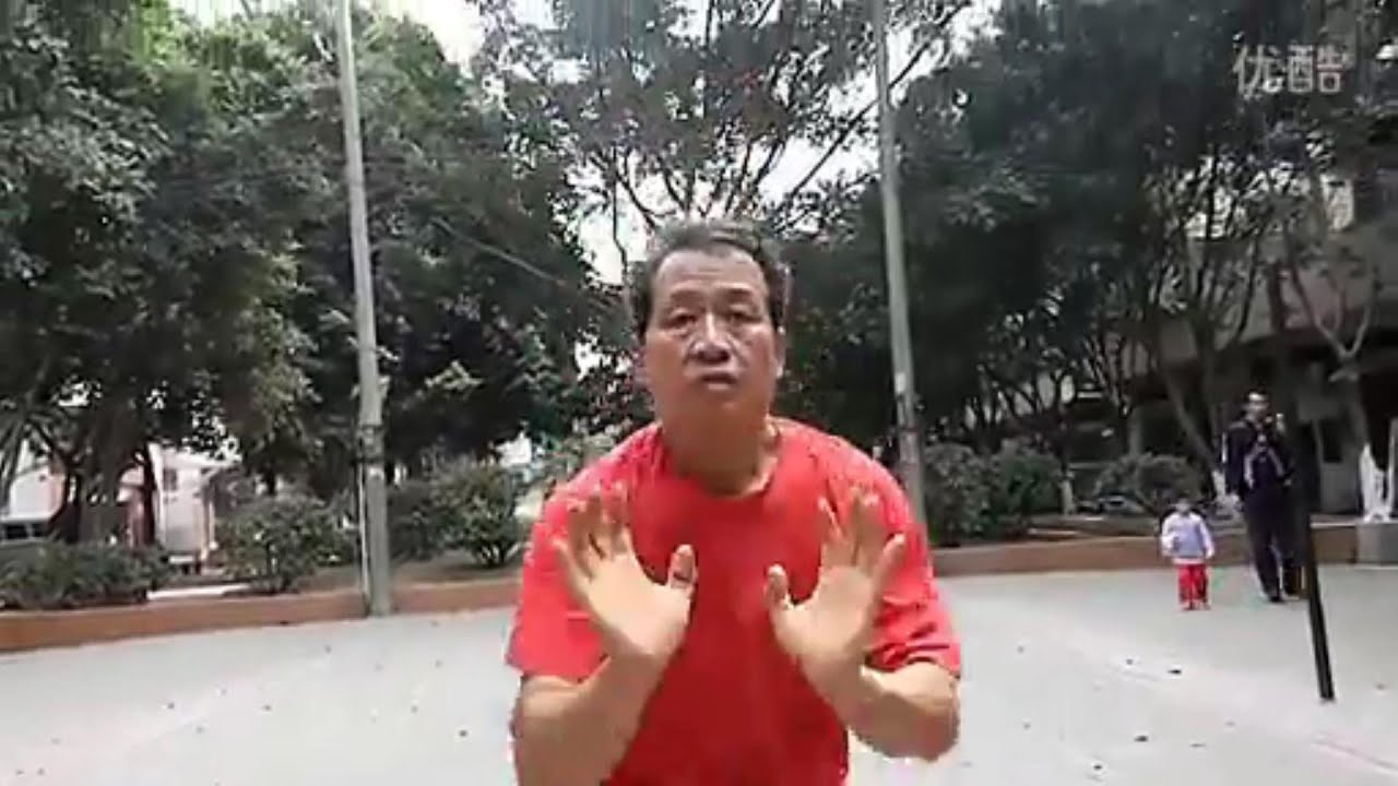 Southern Dragon Style 南龙形拳 - Hand Forms