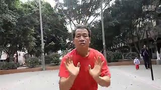 Southern Dragon Style 南龙形拳 - Hand Forms