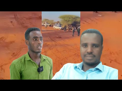 Halka Arin Ee Keentay In Dil Qisaas Ah Lagu Fuliyay Cabdifitaax Cali