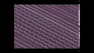 Singer 3232 32 Built-In Stitches Wealth