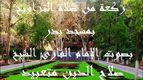 ركعة من صلاة التراويح بمسجد بدر بصوت الإمام القارئ الشيخ صلاح الدين متعبيد