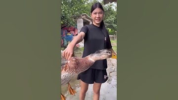 Tiết canh vịt quá đơn giản luôn (p1) #shorts #amthuc #minivlog #tietcanhvit