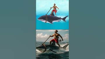 Hungry Shark Evolution Vs In Real Life Part 2