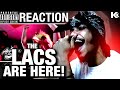 First Time Hearing! - The Lacs - Make the Rooster Crow - REACTION