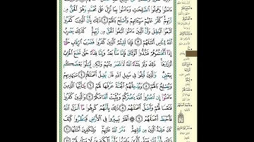 سورة محمد مكتوبة ماهر المعيقلي