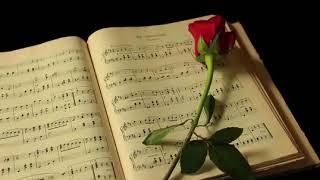 ‫موسيقى صامتة راي نصرو - music rai nasro‬Arm; - YouTube (360p).mp4