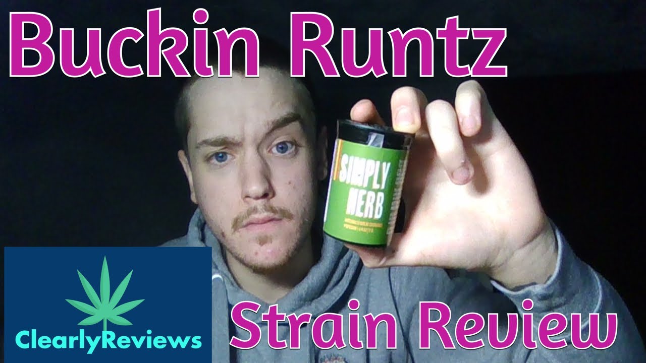 Buckin Runtz by Simply Herb STRAIN REVIEW#219 - YouTube
