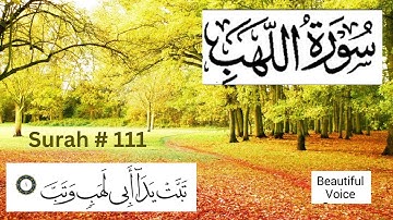 Surah Al-lahab .111  Surah Al Masad  سورة المسد. Surah AL-Lahab. Tabat yada .Sura 111. Sura Lahab.