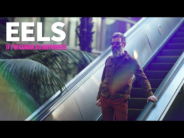 Eels - If I'm Gonna Go Anywhere