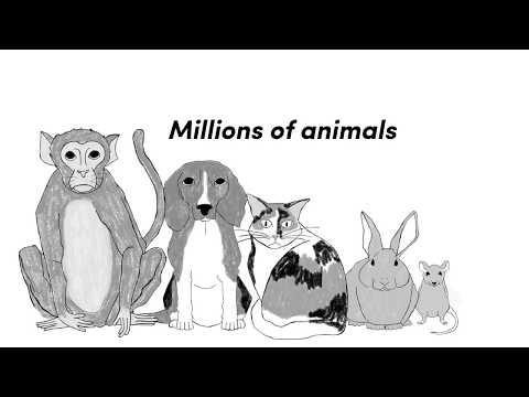 Video: Vai veic parastu testu ar dzīvniekiem?