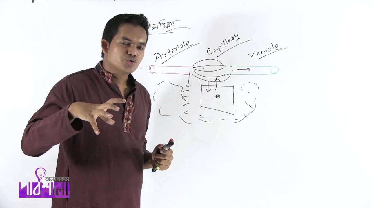 06. Lymph | লসিকা | OnnoRokom Pathshala