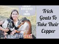 Signs Your Goats Are Copper Deficient &amp; Treatment || Vlogus Day 27