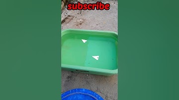 toothpaste boat easy  #ytviral