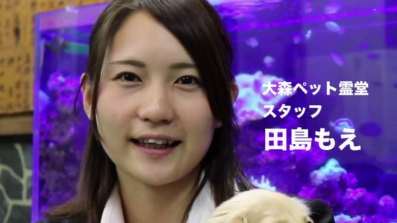 動物の御霊に 手を合わせにいらっしゃいませんか 大森ペット霊堂 日本初の年越し特別営業を開始 大森ペット霊堂のプレスリリース