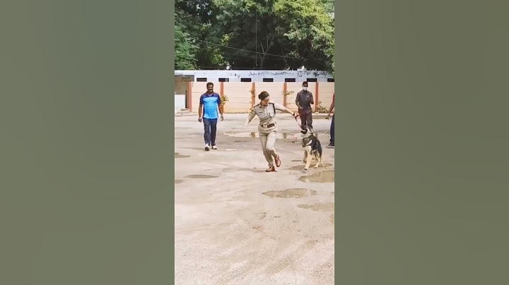 IPS OFFICER SNEHA MEHRA RUNNING WITH HER DOG | #motivation #UPSC #shorts #trending #IPS #LOVE #ias