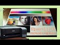 Epson L1110 печать фото