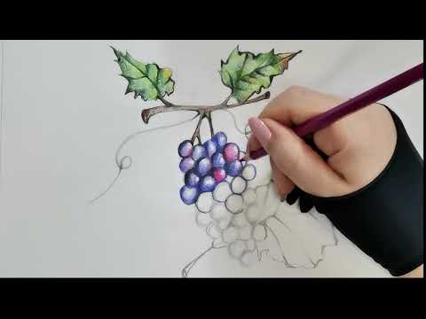 Video: Come Disegnare L'uva