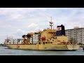 DOLE HONDURAS Container Vessel Arrives at Port Everglades