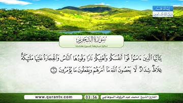 سورة التحريم | بصوت القارئ الشيخ محمد عبد الرؤوف السوهاجي