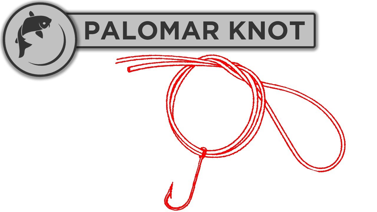 How To Tie A Palomar Knot (Very Strong) 