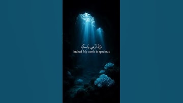 "اسمعها قبل ما تنام 🤲" "صوت يشرح الصدر""تلاوة تريح النفس