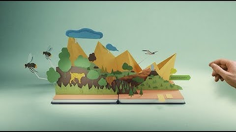 The Environmental Implementation Review