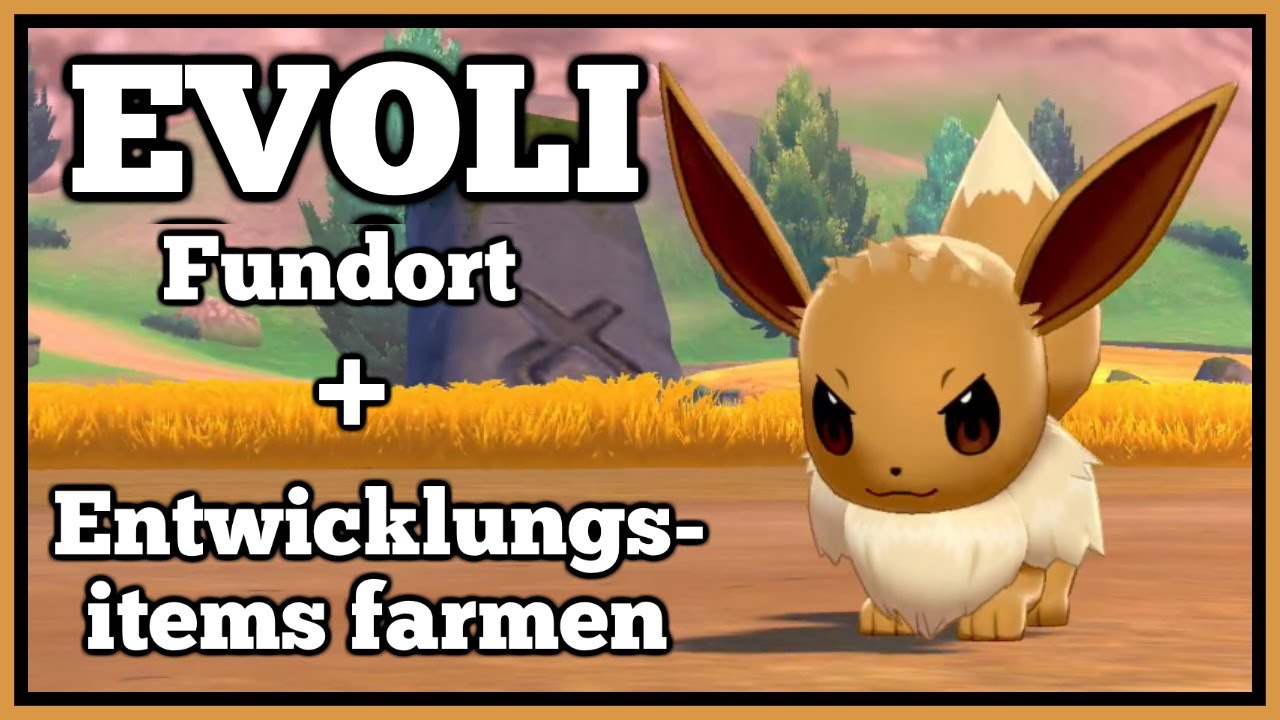 Evoli pokémon schwert