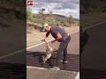 Man rescues baby kangaroo from cattle guard on the road