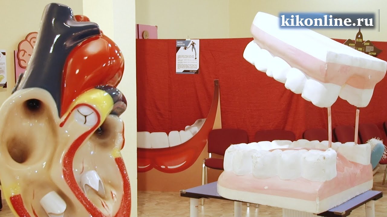 Внутри человека москва Внутри человека москва