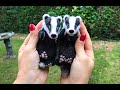 CUTE SLEEPING BABY BADGER - NEEDLE FELT TUTORIAL - CRAFT PROJECT - DIY