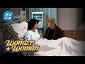 DC Super Scenes: Steve and Diana Fight
