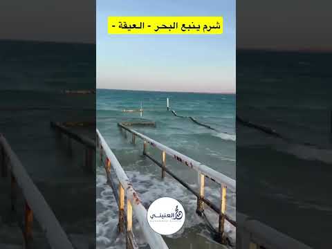 اذا فكرت تسبح وين تروح ينبع محمد العنيني العنيني  الصيف